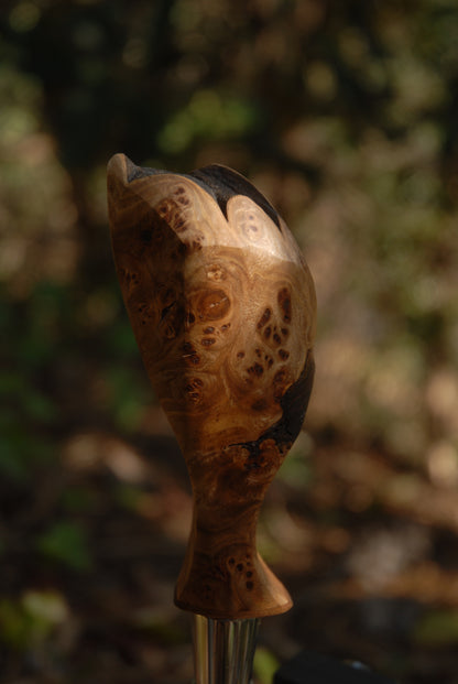 Elm burl Tap Handle