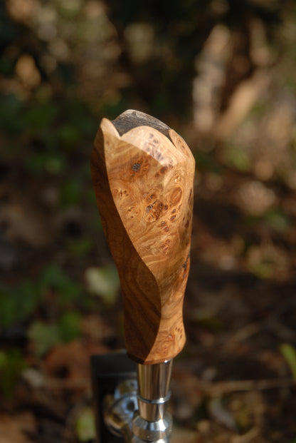 Elm burl Tap Handle