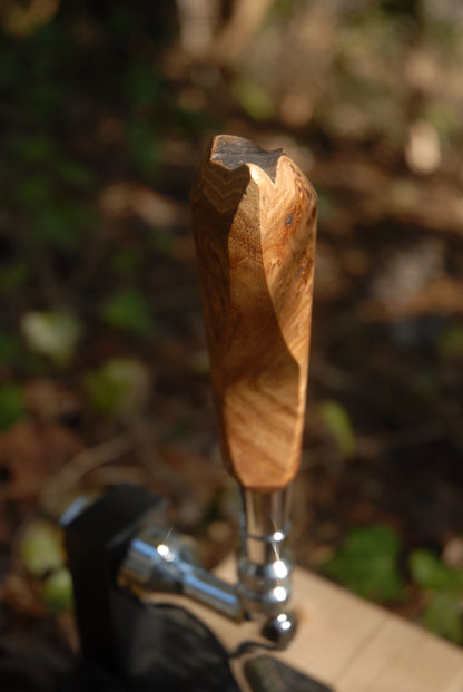 Elm burl Tap Handle