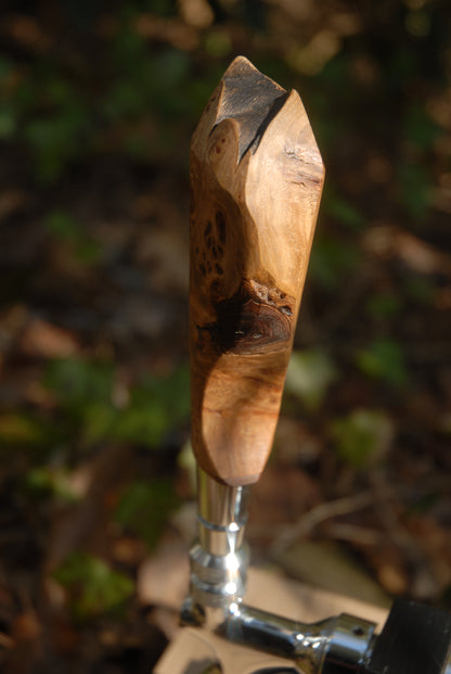 Elm burl Tap Handle