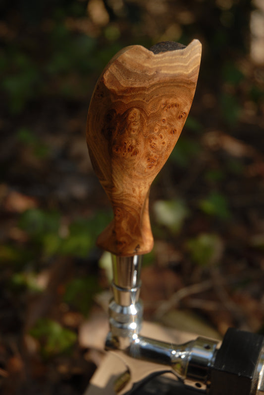 Elm burl Tap Handle