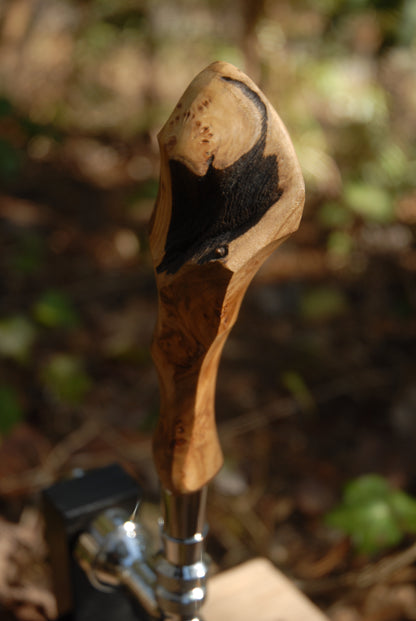 Elm burl Tap Handle