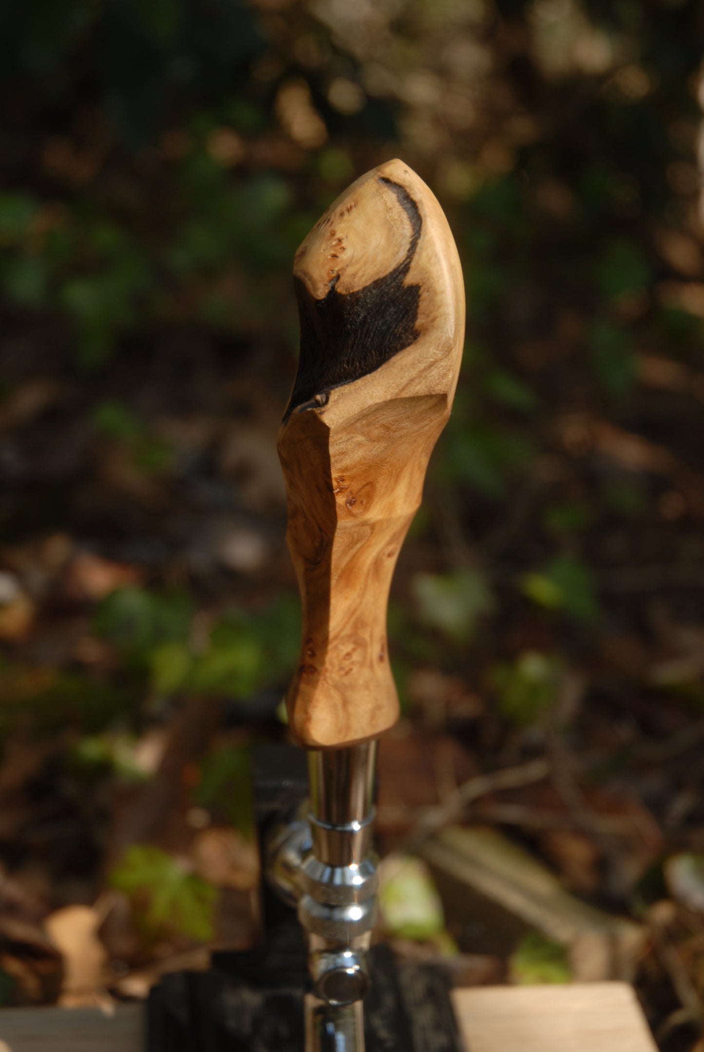 Elm burl Tap Handle