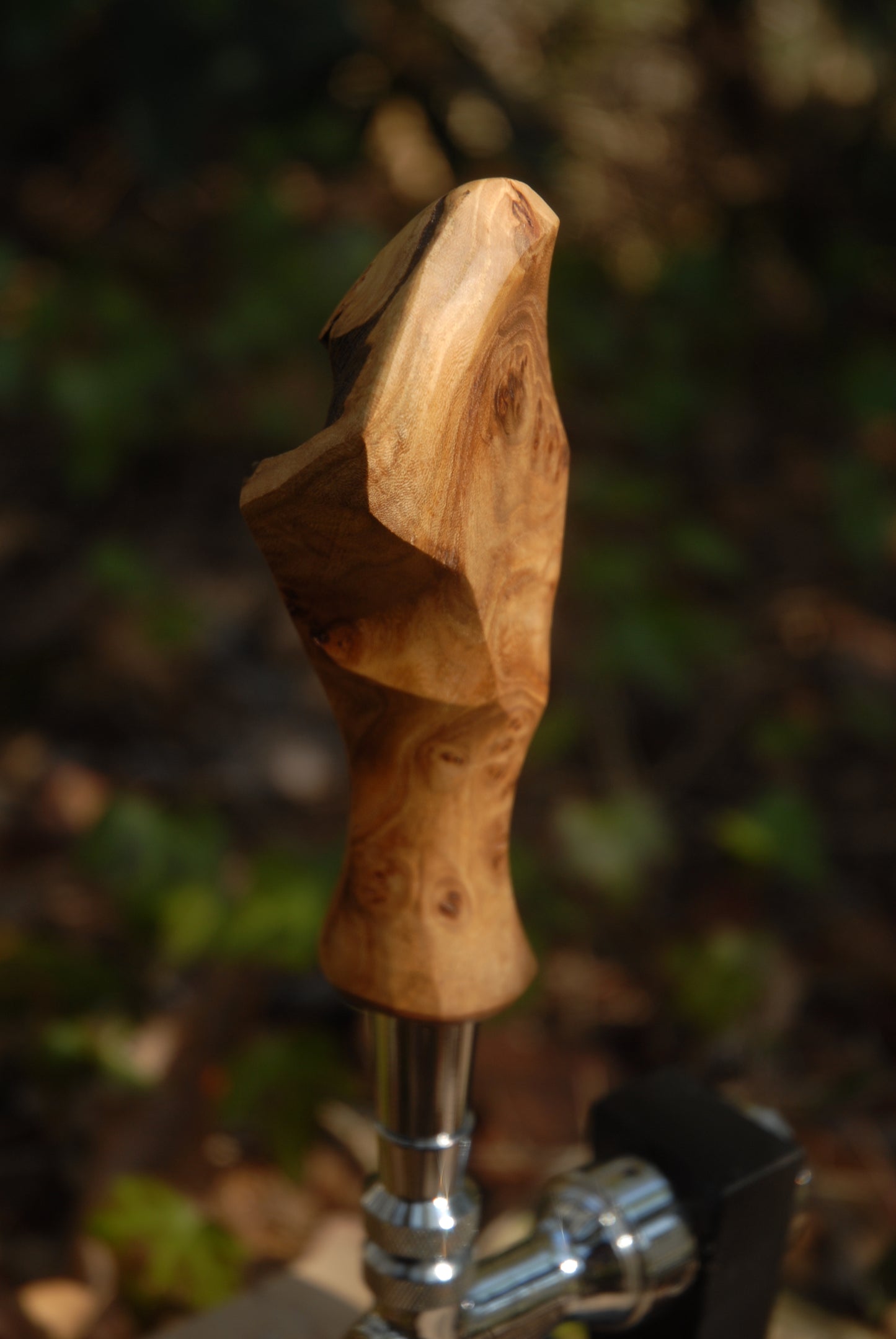 Elm burl Tap Handle