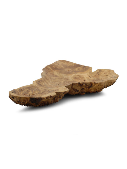 Red Elm Burl Dish